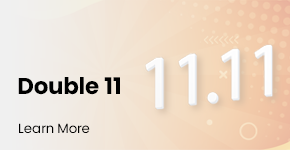 Double 11 campaign