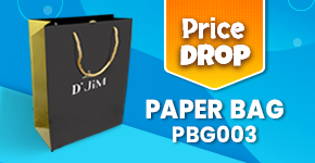 Paper shopping bag with a gold rope handle, a price down text, and a model showcasing the product.