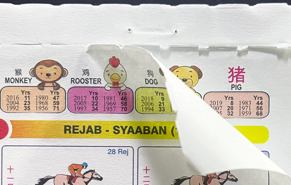 Wall calendar with perforated pages for easy tearing and smooth monthly page removal.