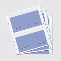 Three pieces of pay slip with security tinting.