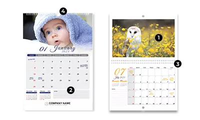 Two wall calendars with wire-o ring binding define header, content, wire-o binding and hanger.